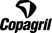 Camada 1 (3)